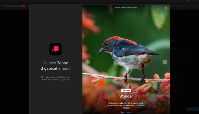 Topaz Gigapixel图像放大软件 v1.0.7 破解版-久丫丫资源网