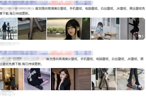 老司机壁纸源码 2.0 修复版 布局优化 + BUG 修复 可直接搭建运营-久丫丫资源网